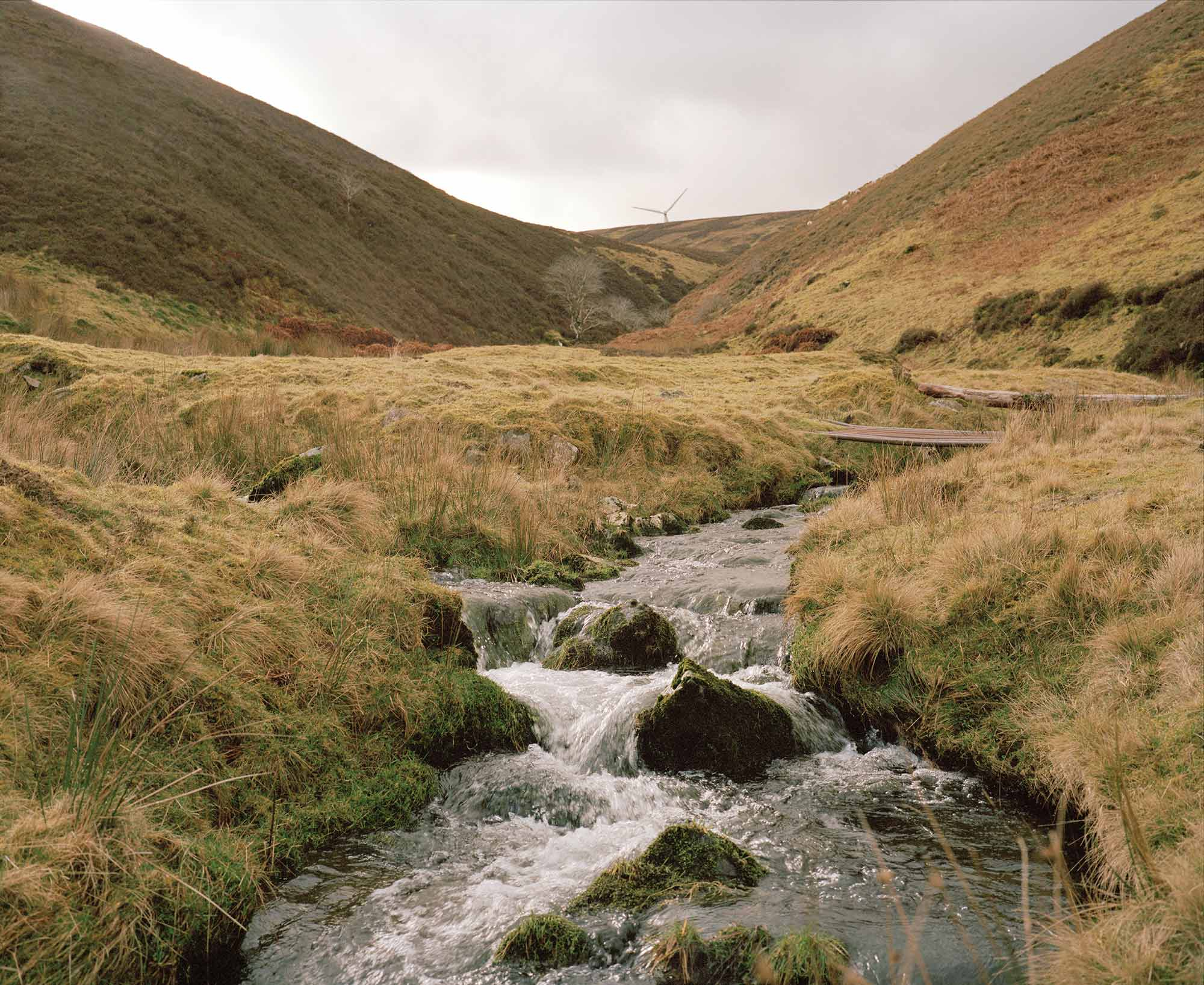 Two burns merge to form one in the Moorfoot hills
