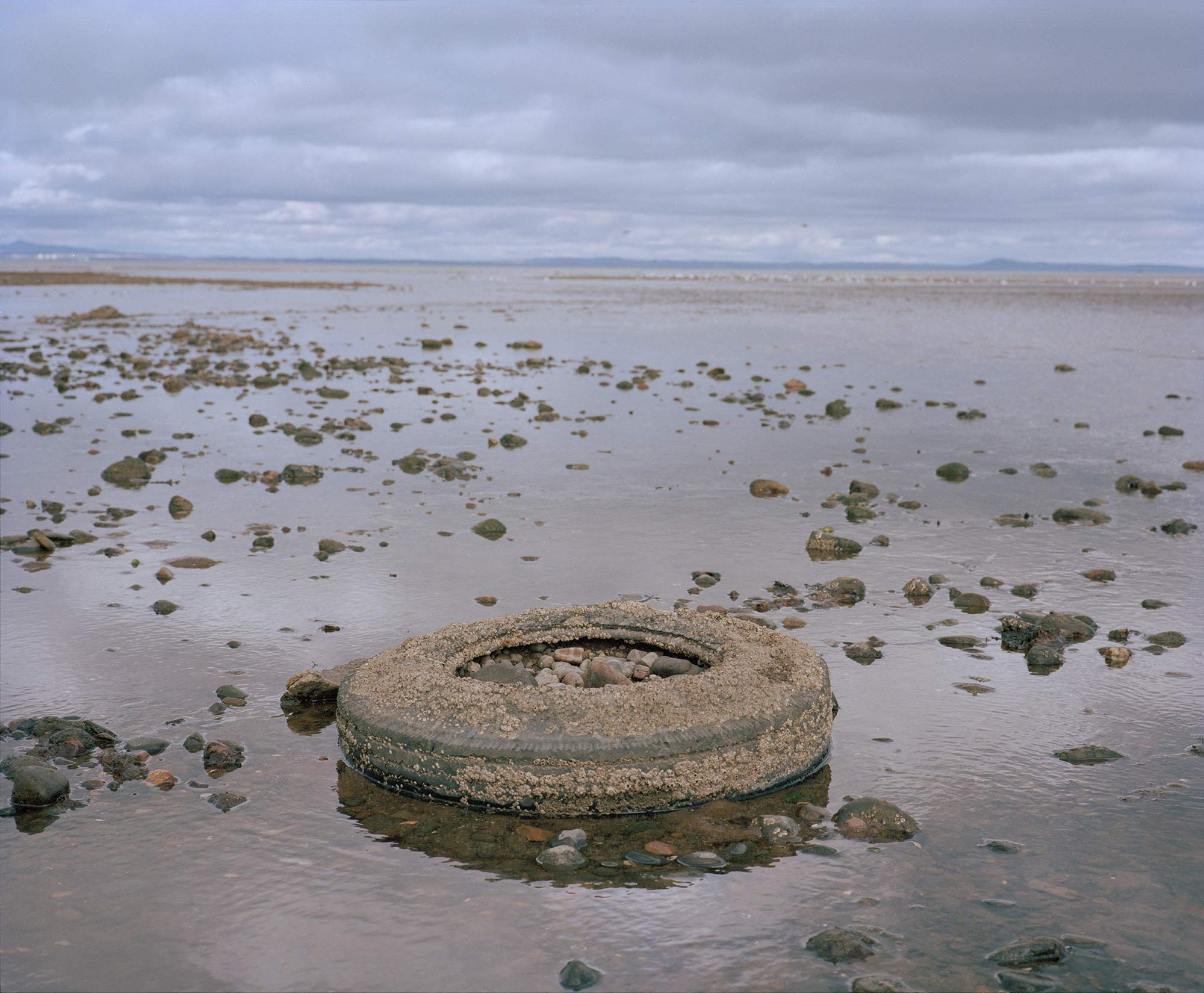 Discarded tyre covered in barnacles in the sea