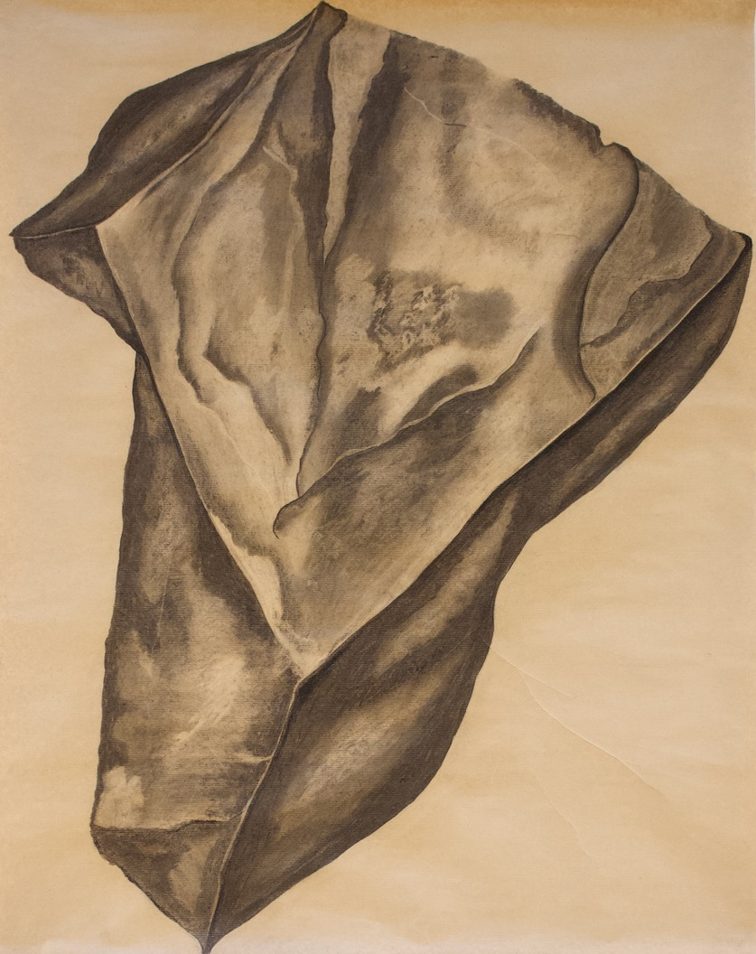 Rock from the Radical Road, 2024. Charcoal on paper. 114.3 cm x 90 cm. 