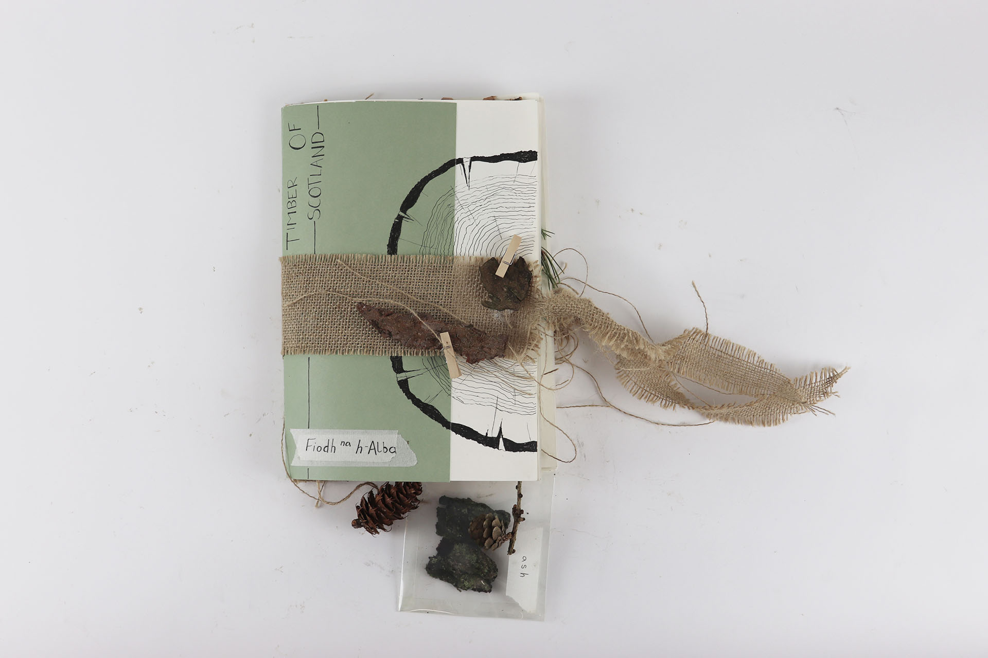 Timber species booklet