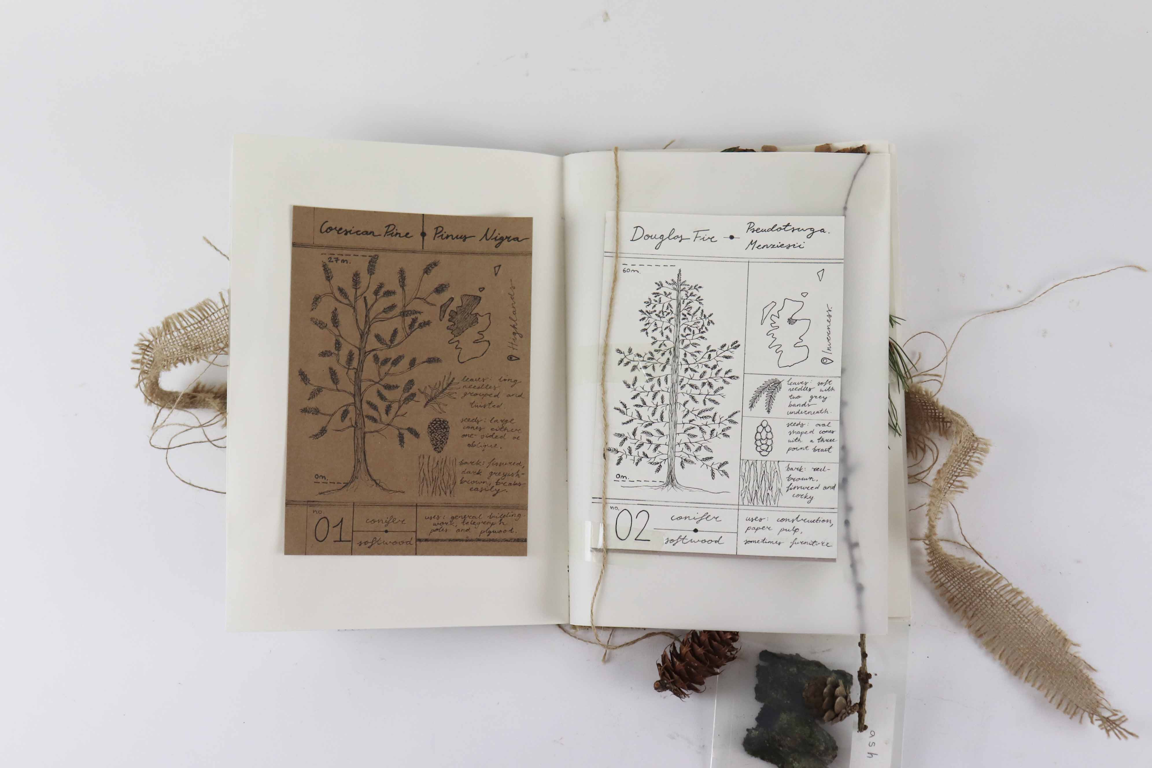 Timber species booklet