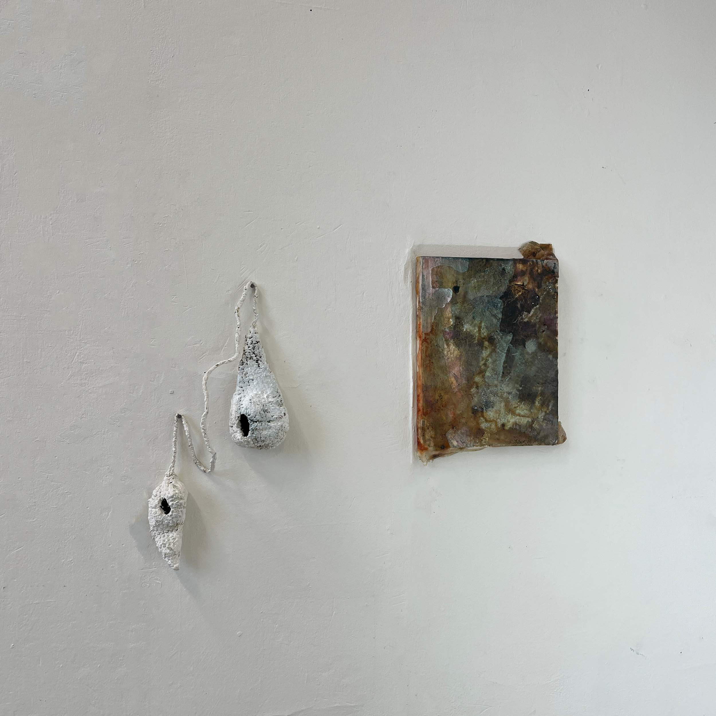 Installation view of The Greenhouse Collective 