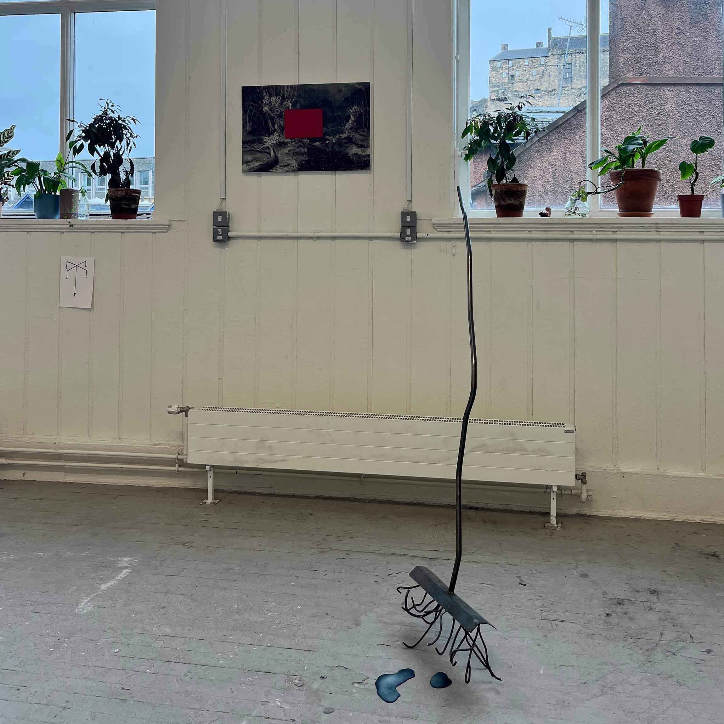 Installation view of The Greenhouse Collective 