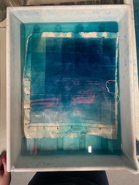 A Blue graph in a tray of blue water 