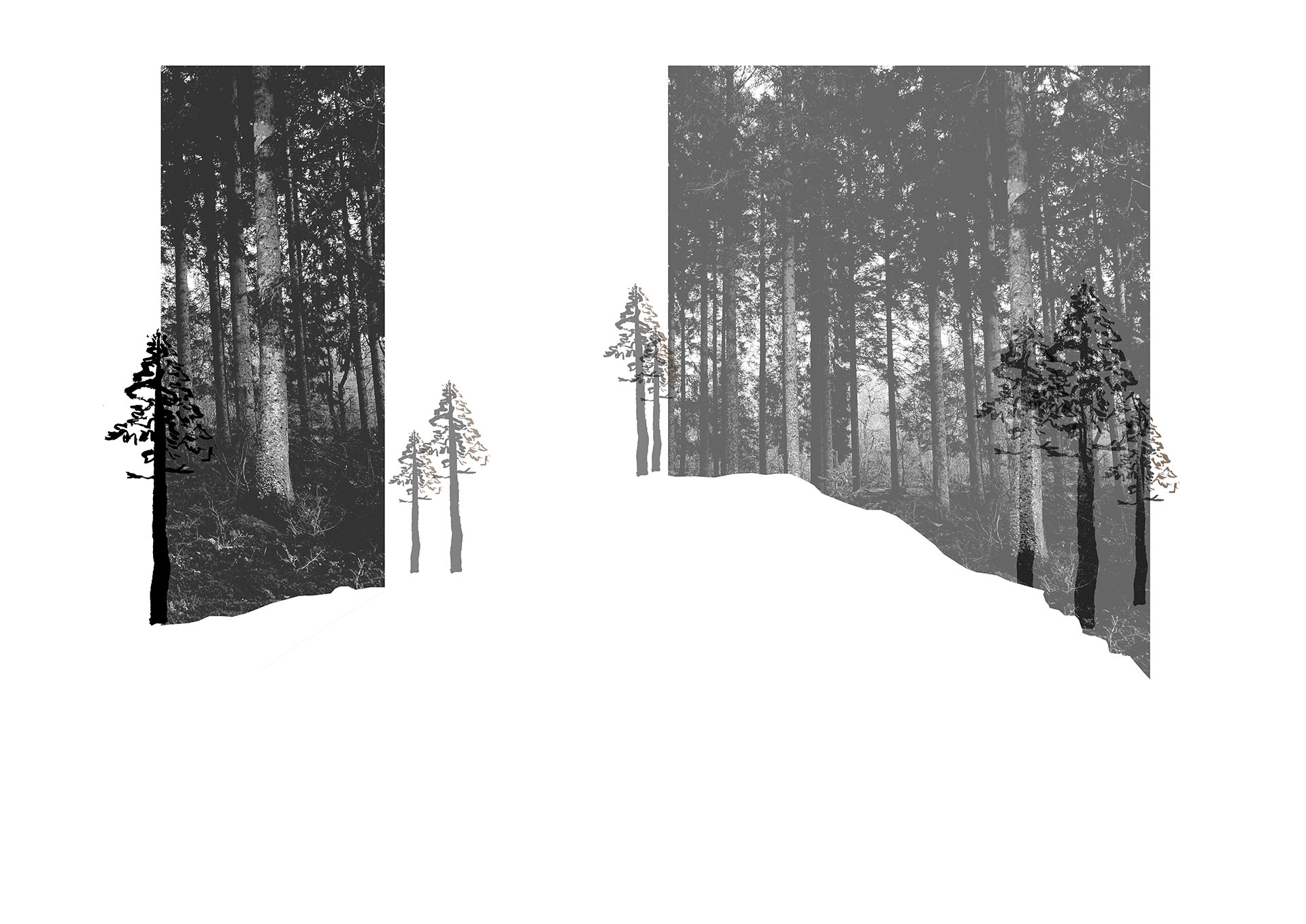 Layered Visual of Landscape Removal 
