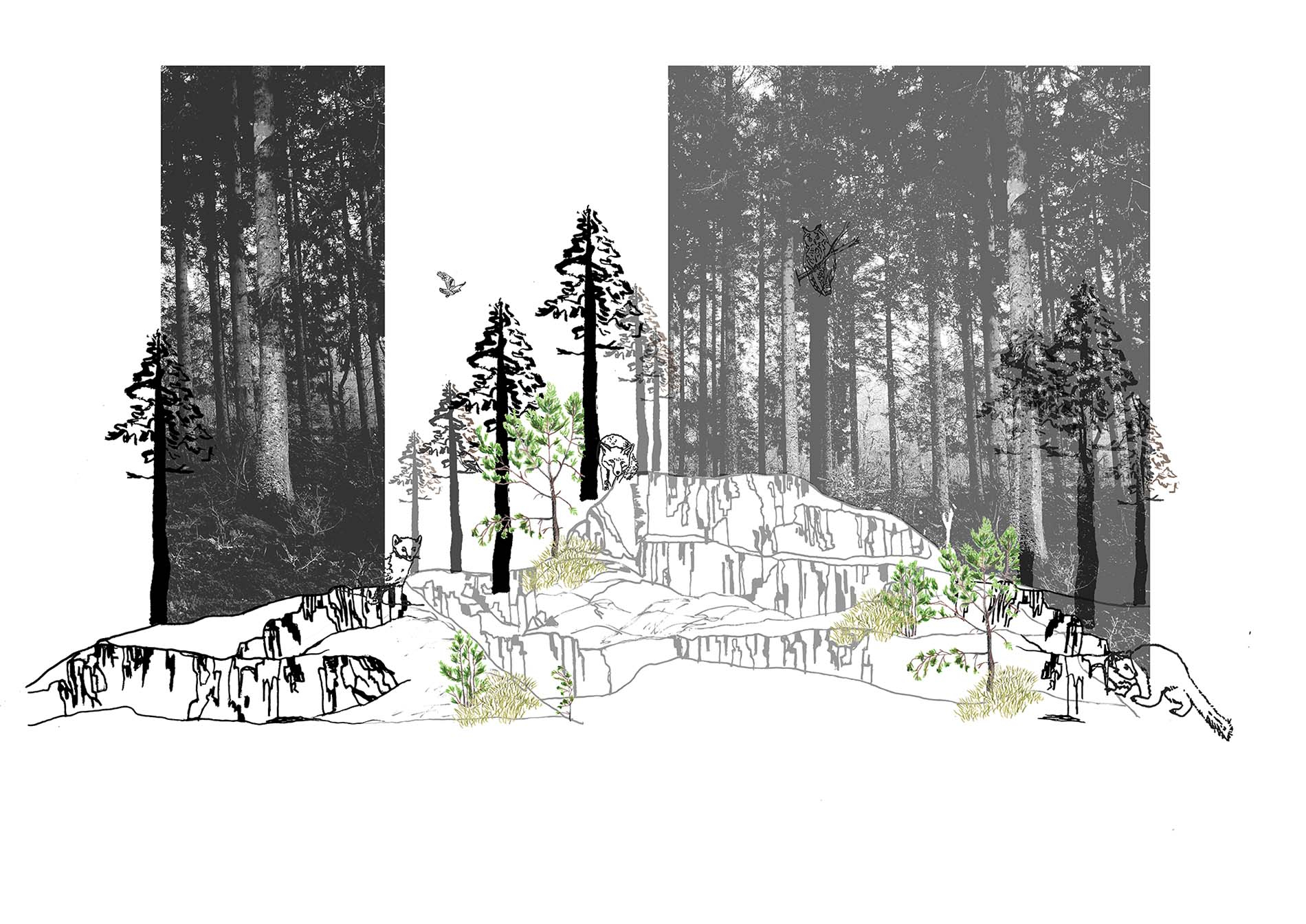Layered Drawing of Quarry being taken over by nature 