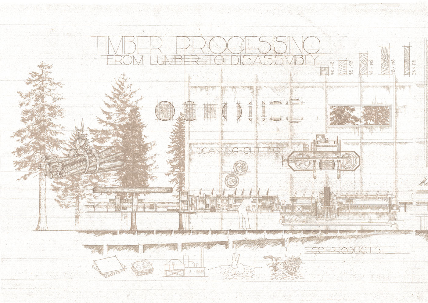Timber process drawing 1