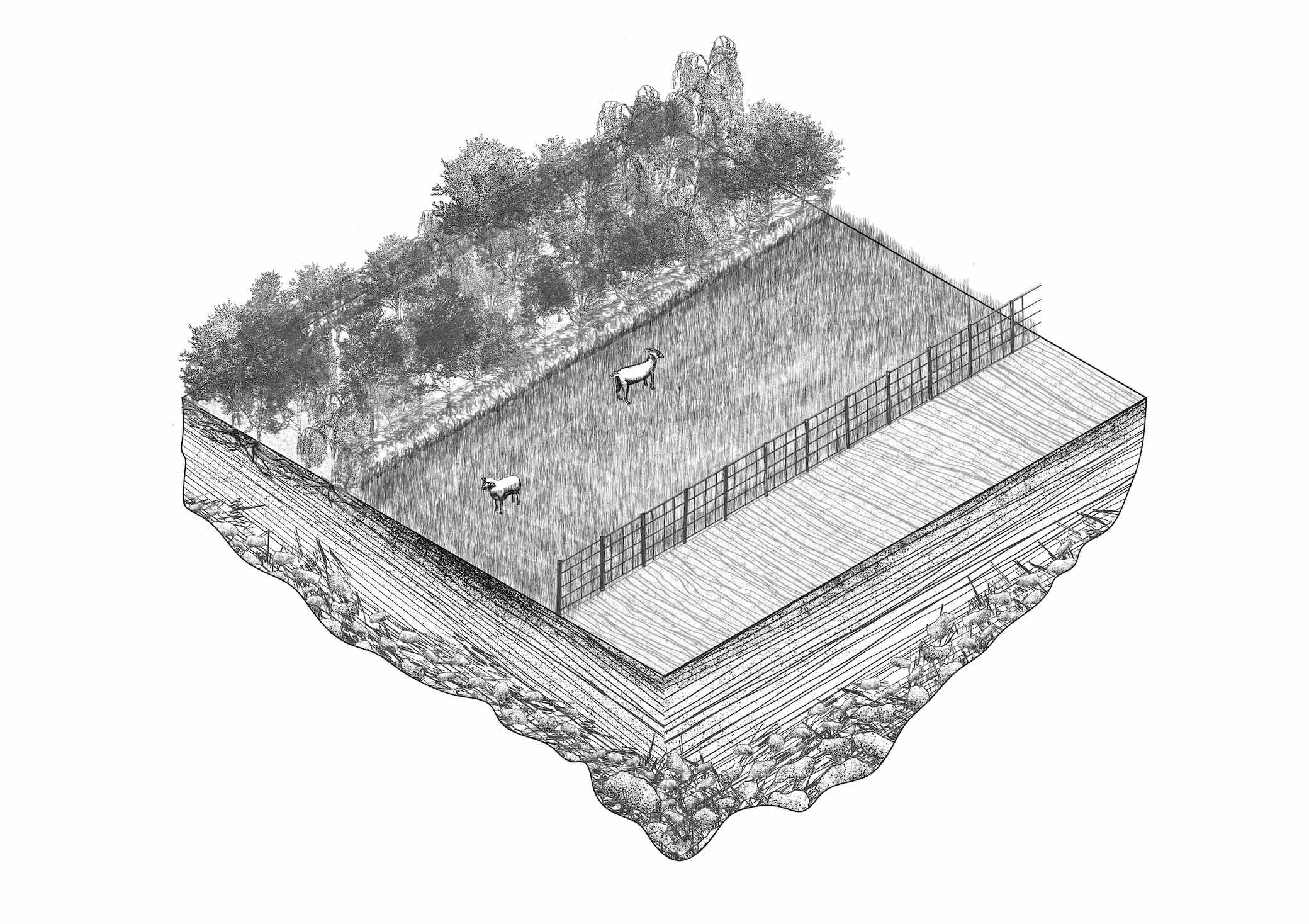 Meadowbelt Margin Proposals