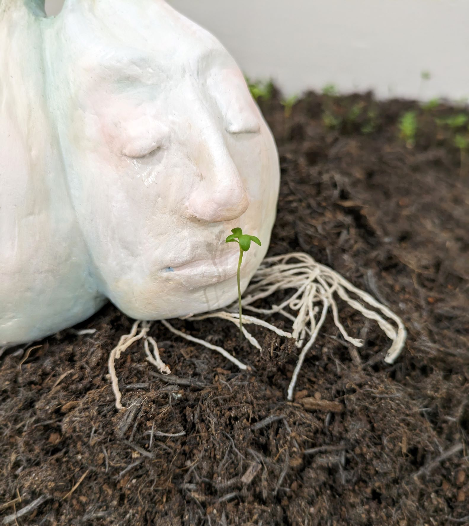 Garlic with human face