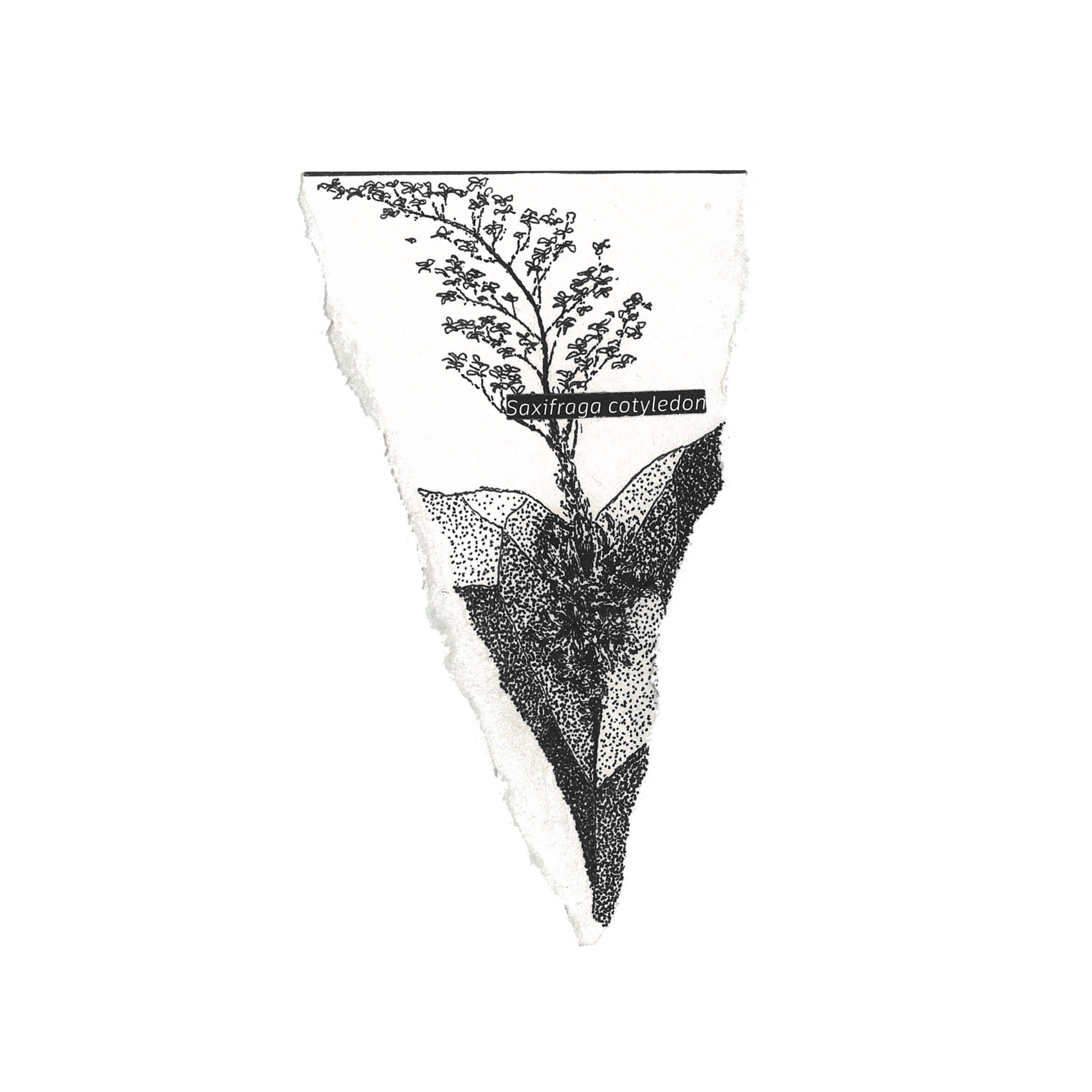 Plants establish in and around the new habitats created by the installed pieces.