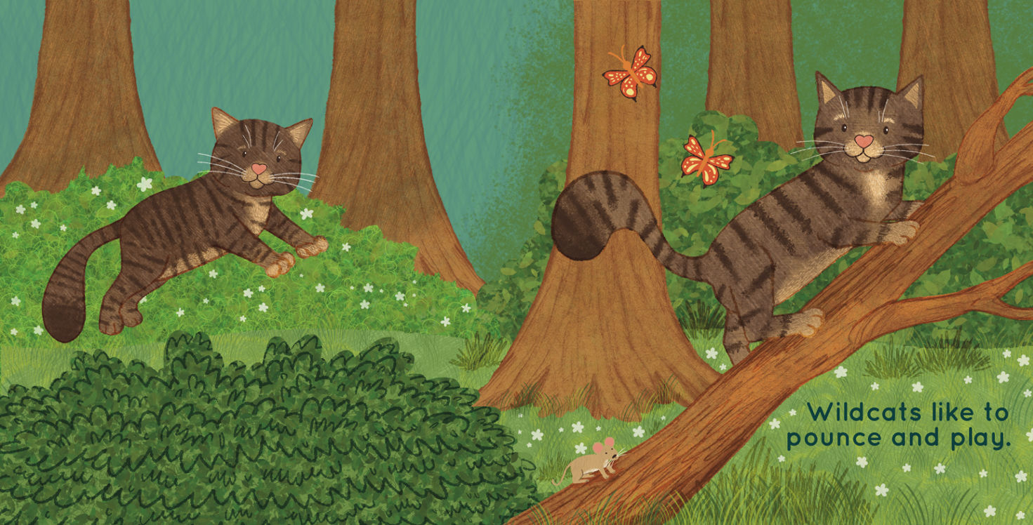 double page spread of wildcats playing in the woods