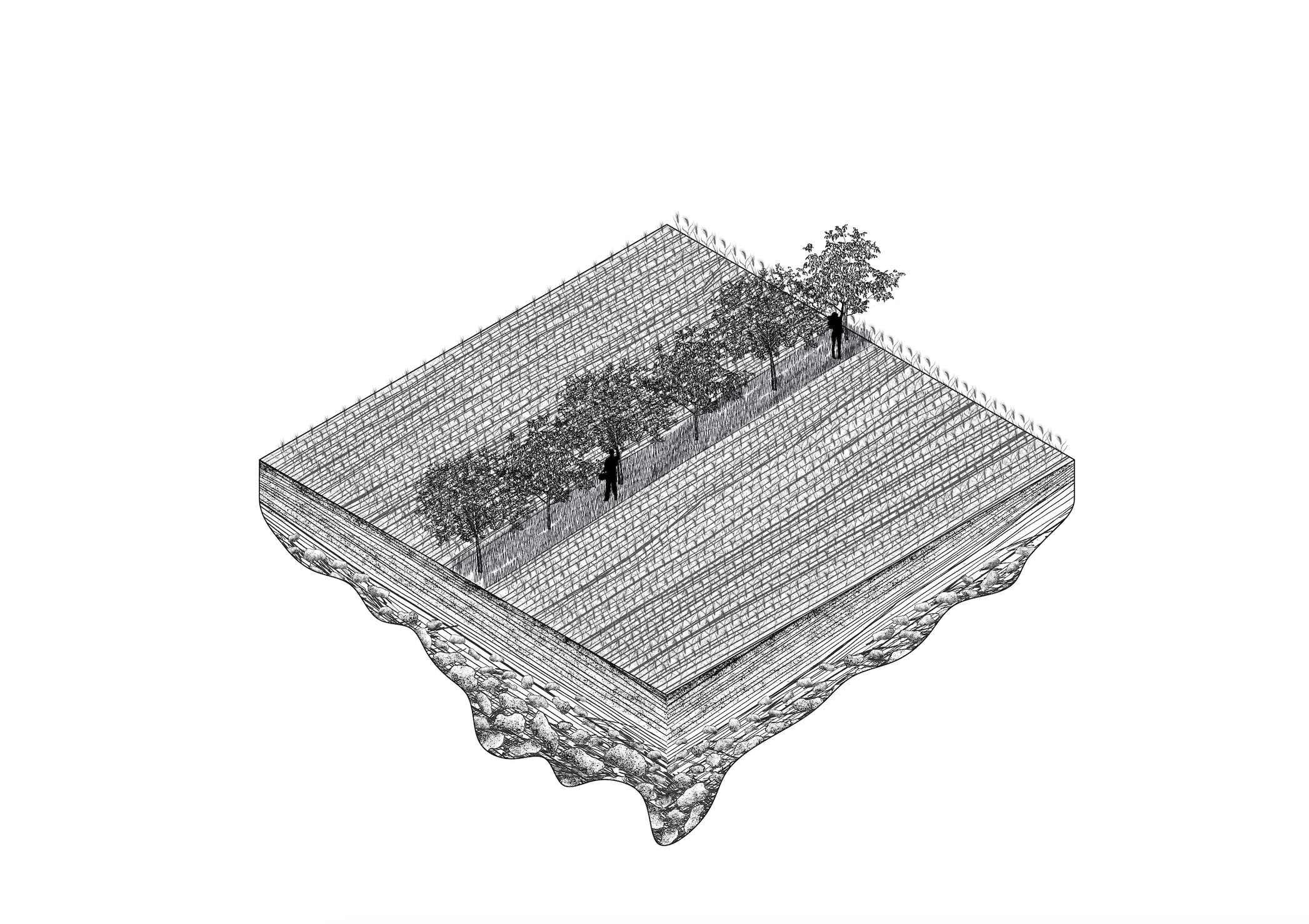 Silvoarable Proposals