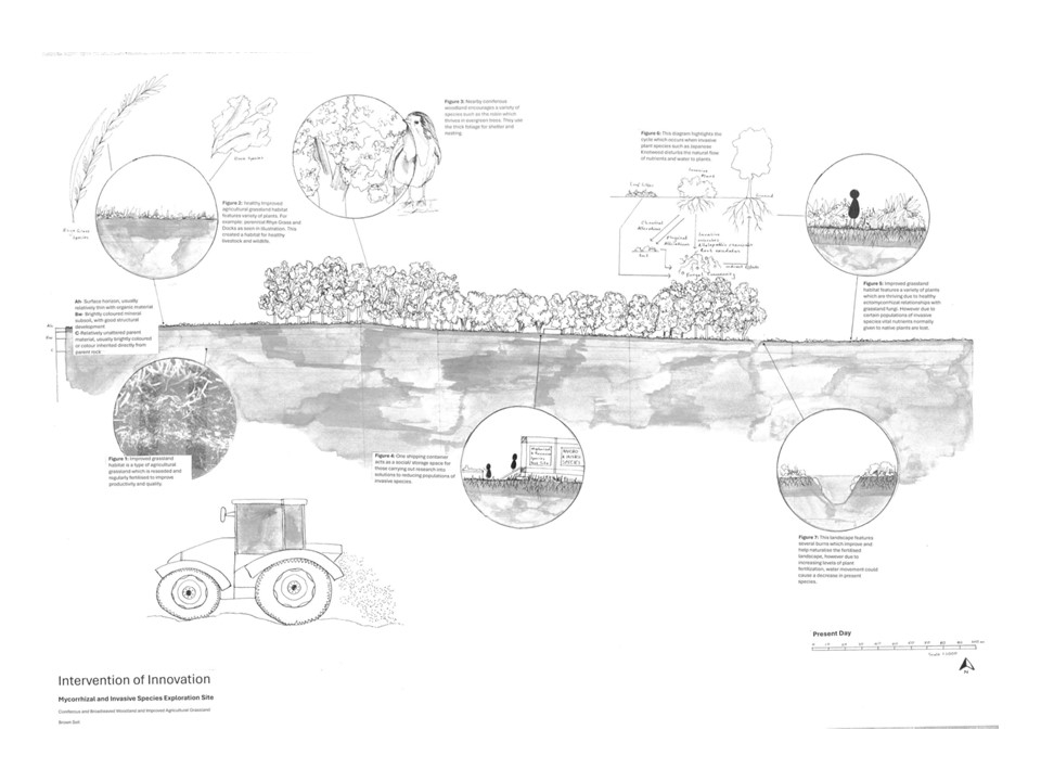 Intervention of Innovation- Mycorrhizal and Invasive Species Exploration Site