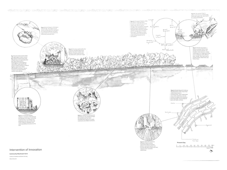 Intervention of Innovation- Community Mushroom Hub