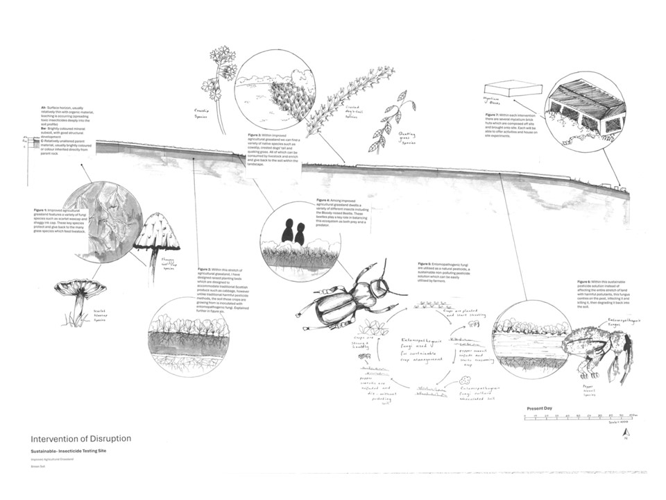 Intervention of Disruption- Sustainable- Insecticide Testing Site
