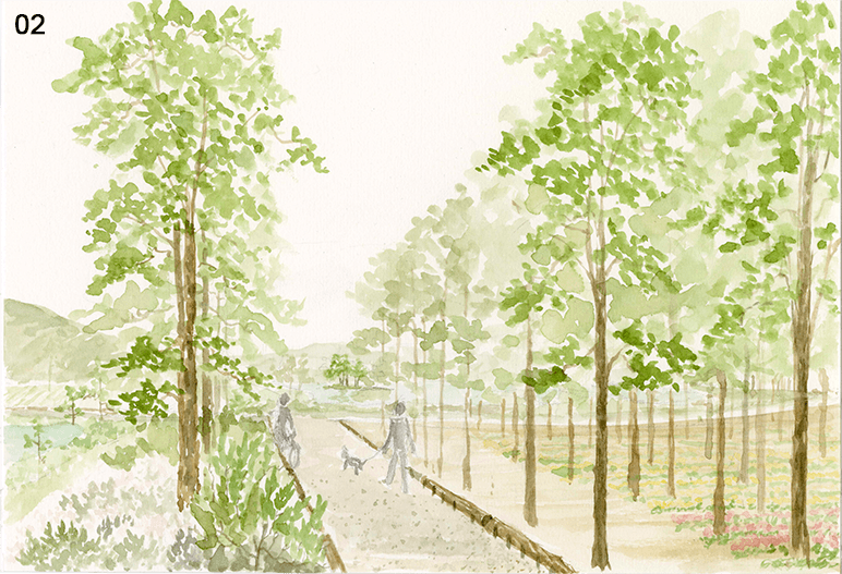 Understory plant planting
