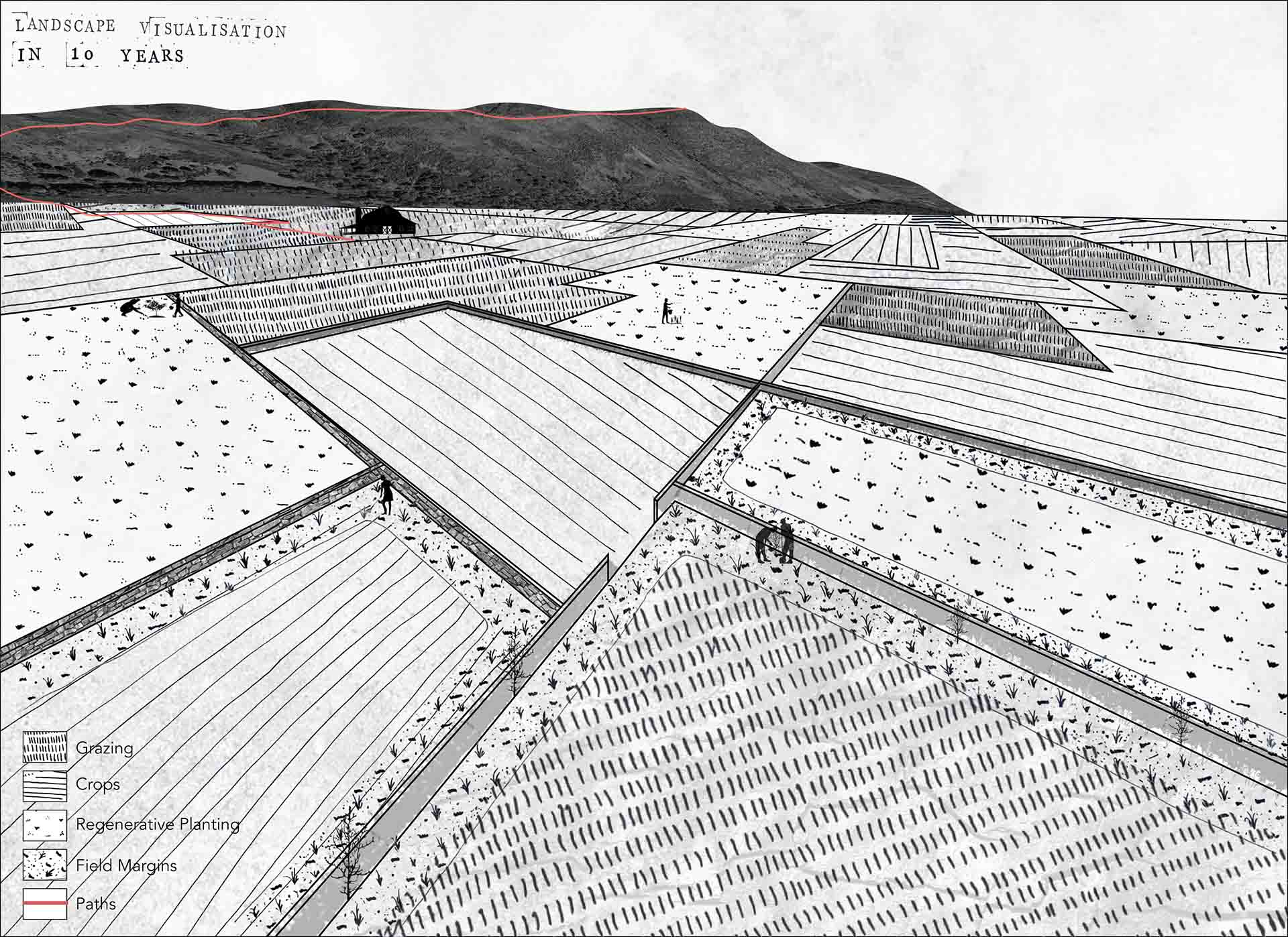 Visualisation in ten years when the landscape has established the crop rotation, as well as using local people to plant hedgerows and rebuild walls. 