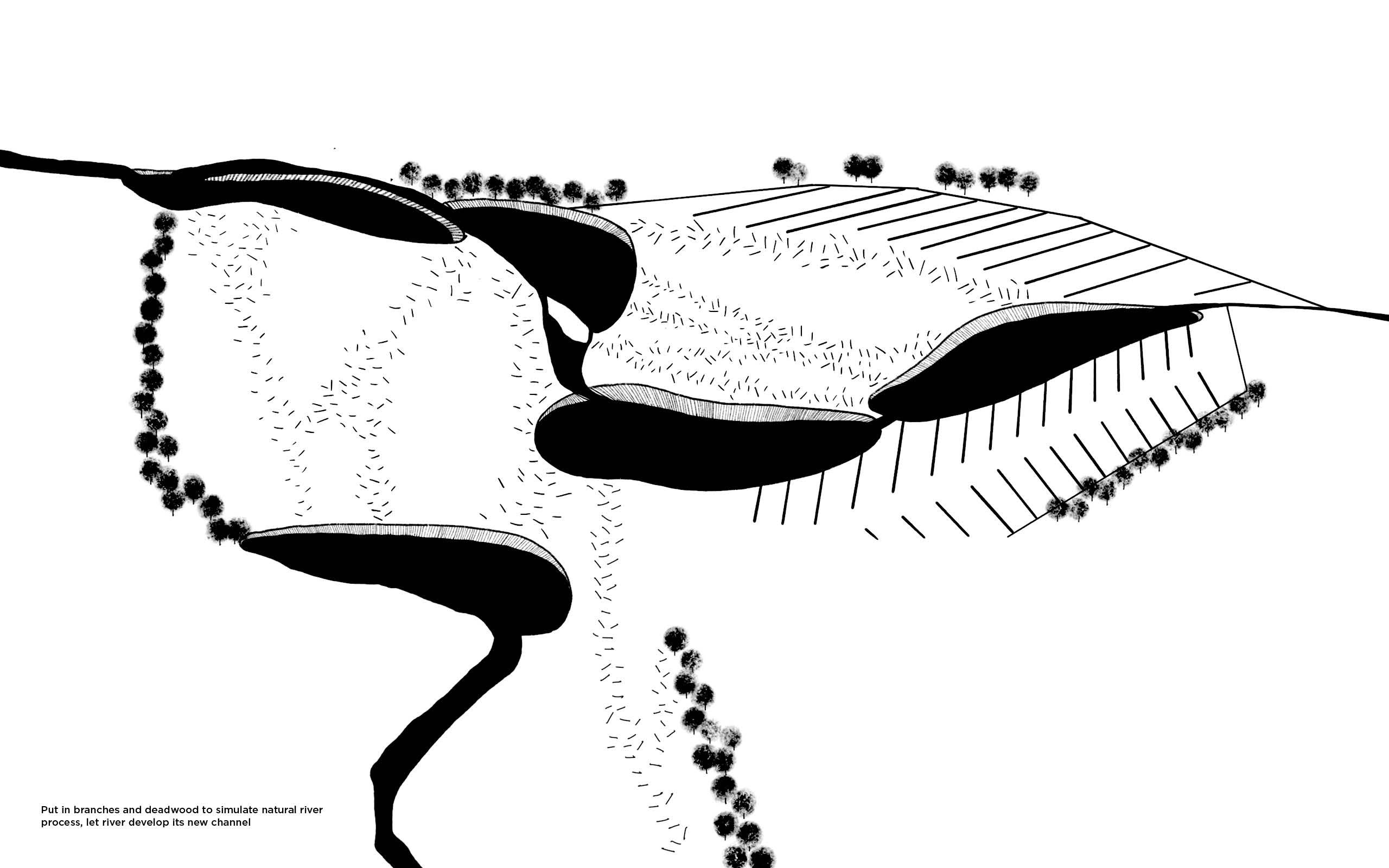 The Rewetted Floodplain Year 1 Step 2