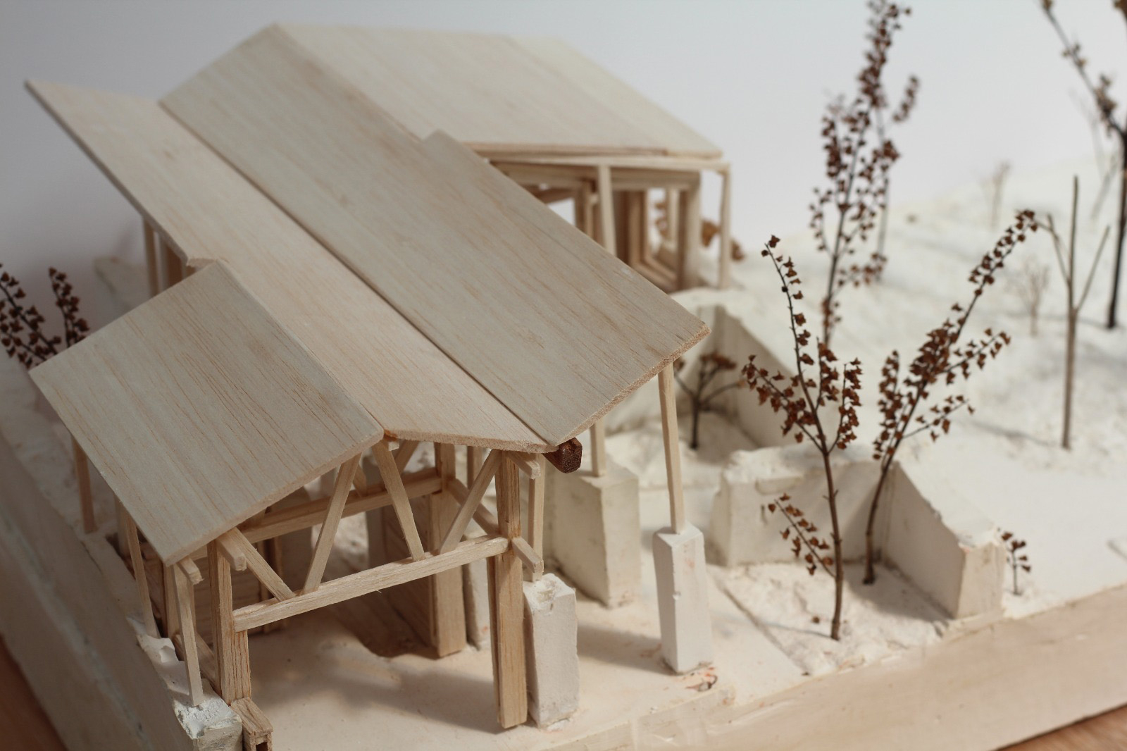 1:50 model
