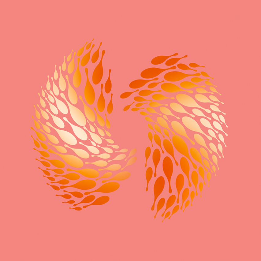 Spiral Texture 2- Jiahui Huang