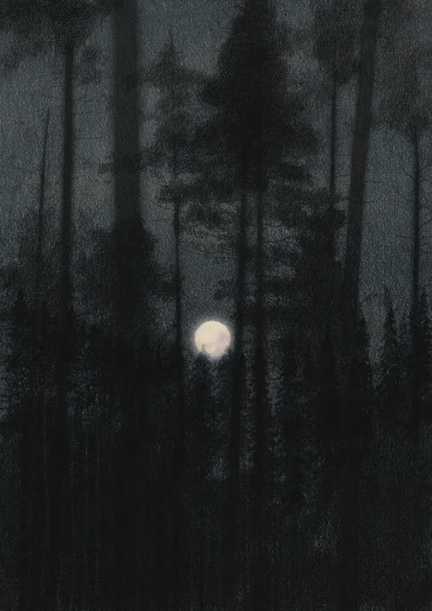 forest