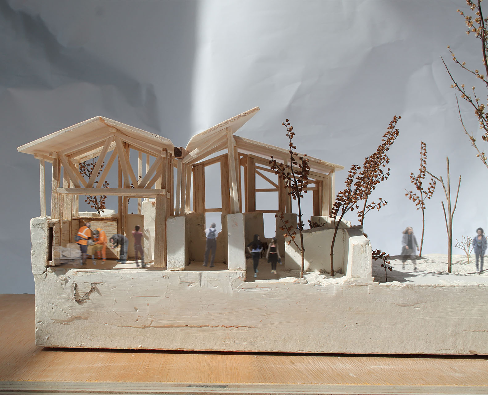 1:50 model