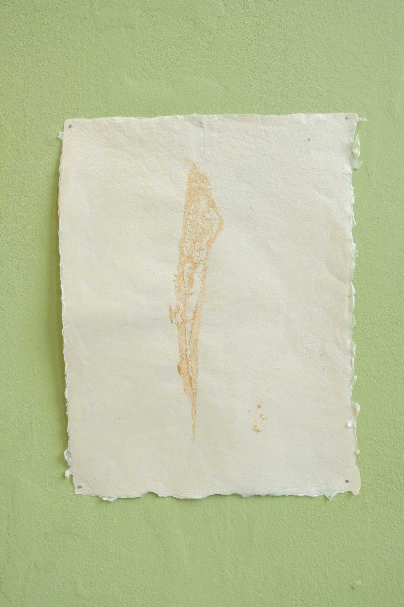 Gold ink nature print of a Himalayan Balsam leaf on handmade bamboo paper. 