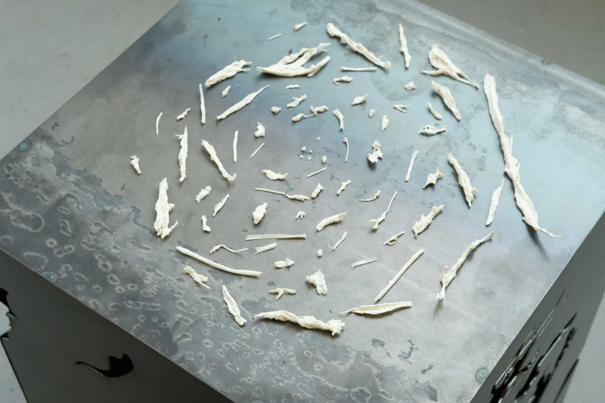 porcelain casts of Himalayan Balsam leaves, stems, flowers and seeds on steel shrine.