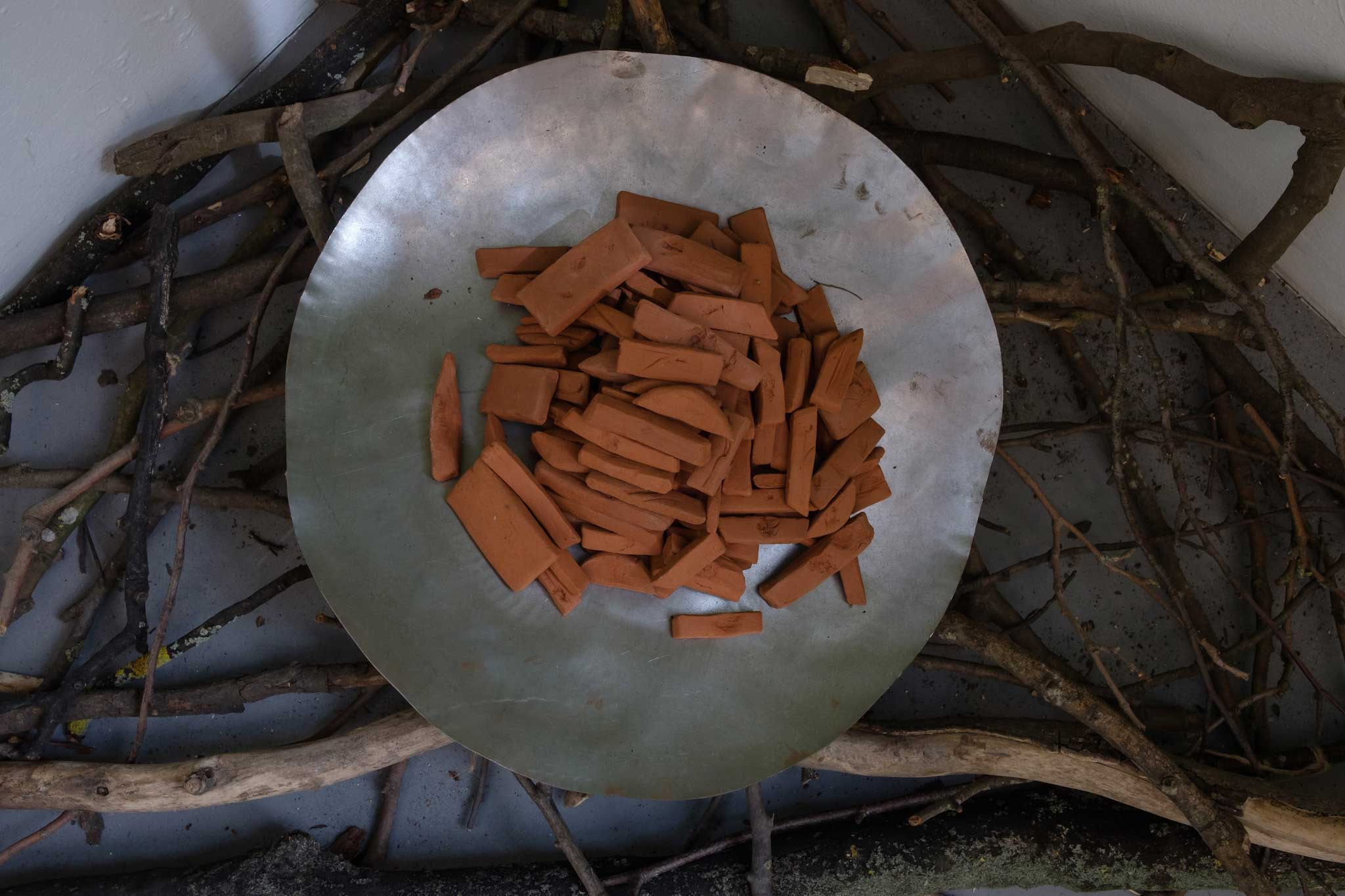 185 small clay tablets on a domed steel tray resting on a web of branches.