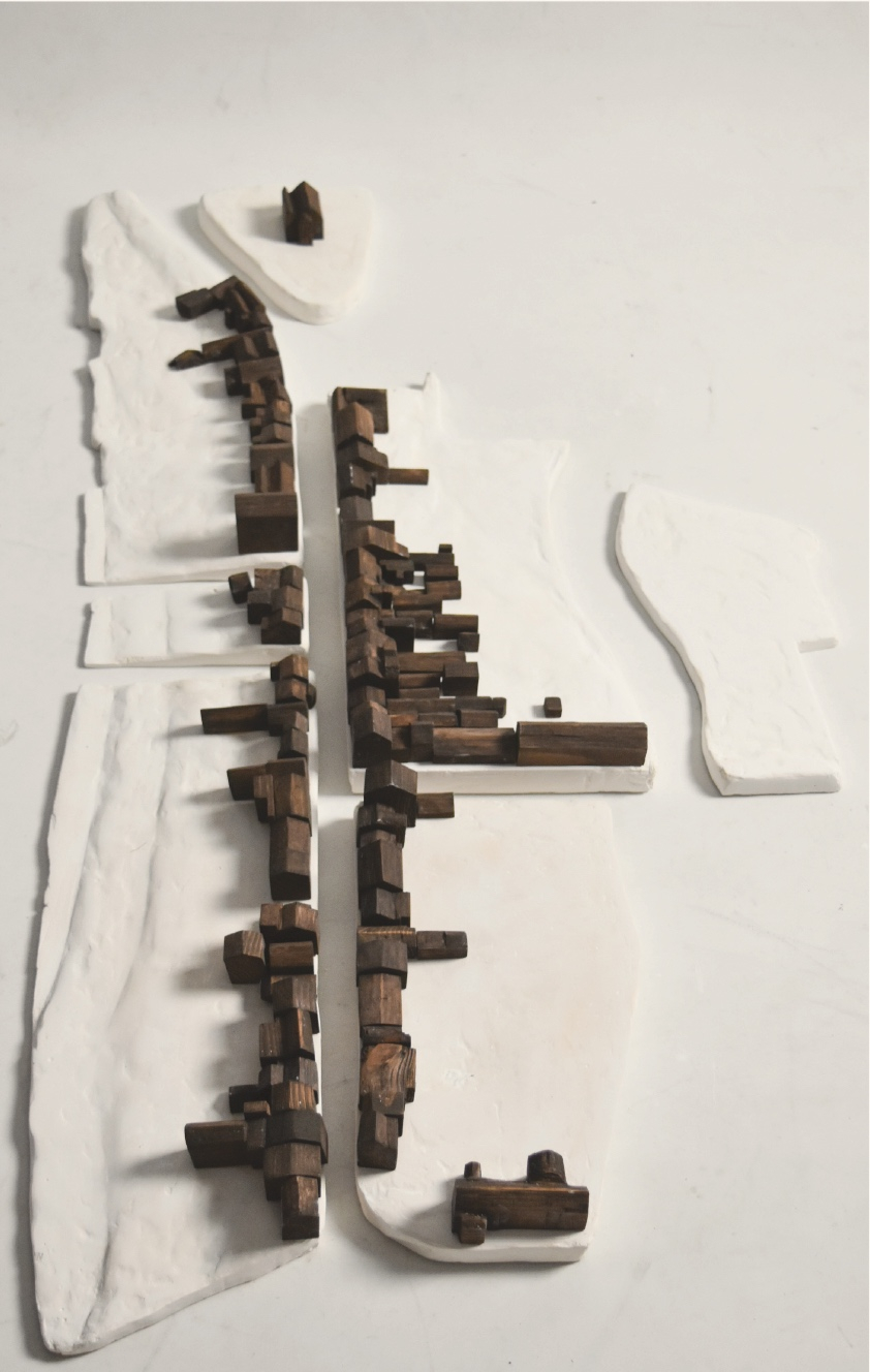 Site model plaster and hardwood 