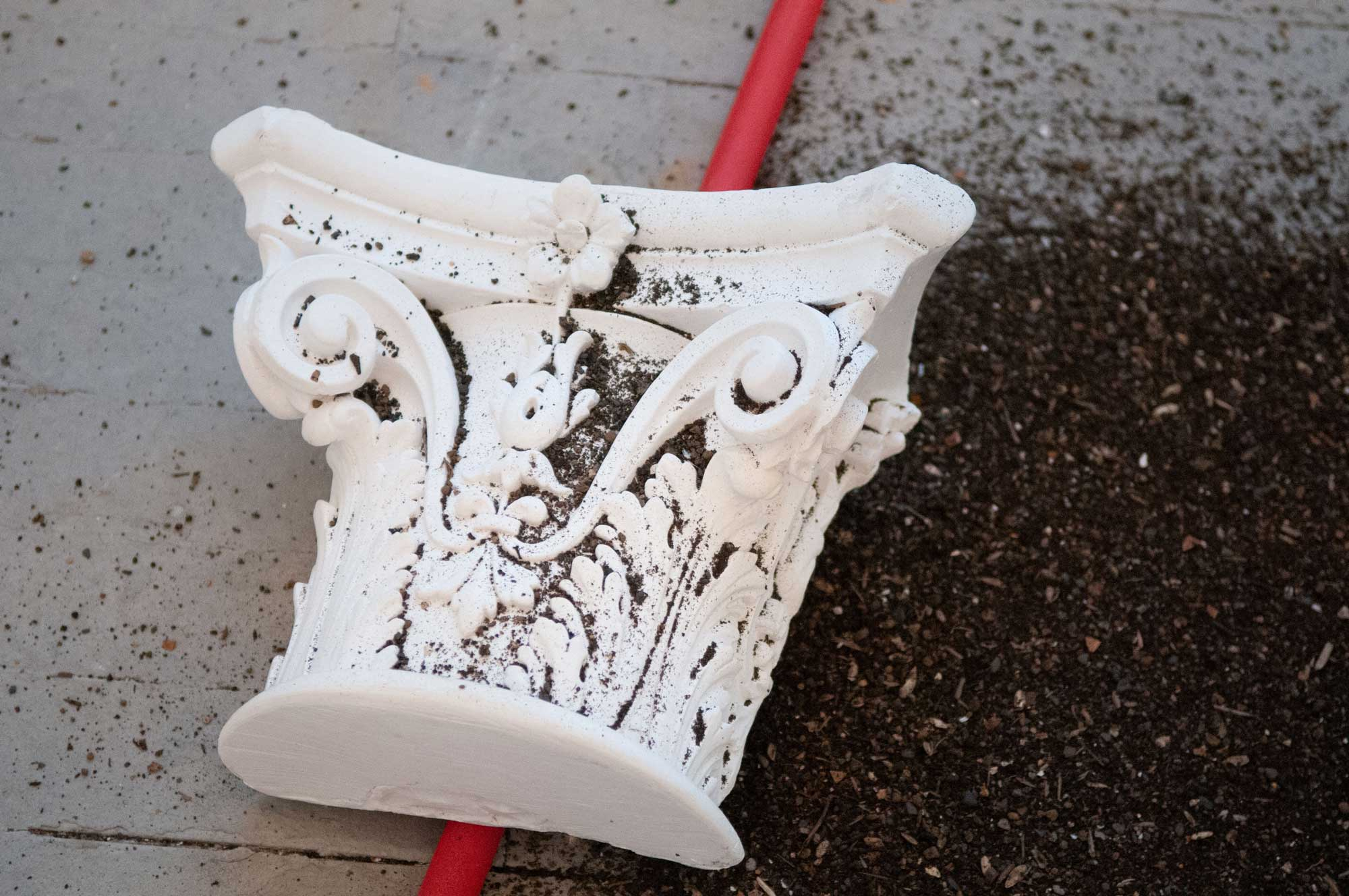 plaster capital coated in soil