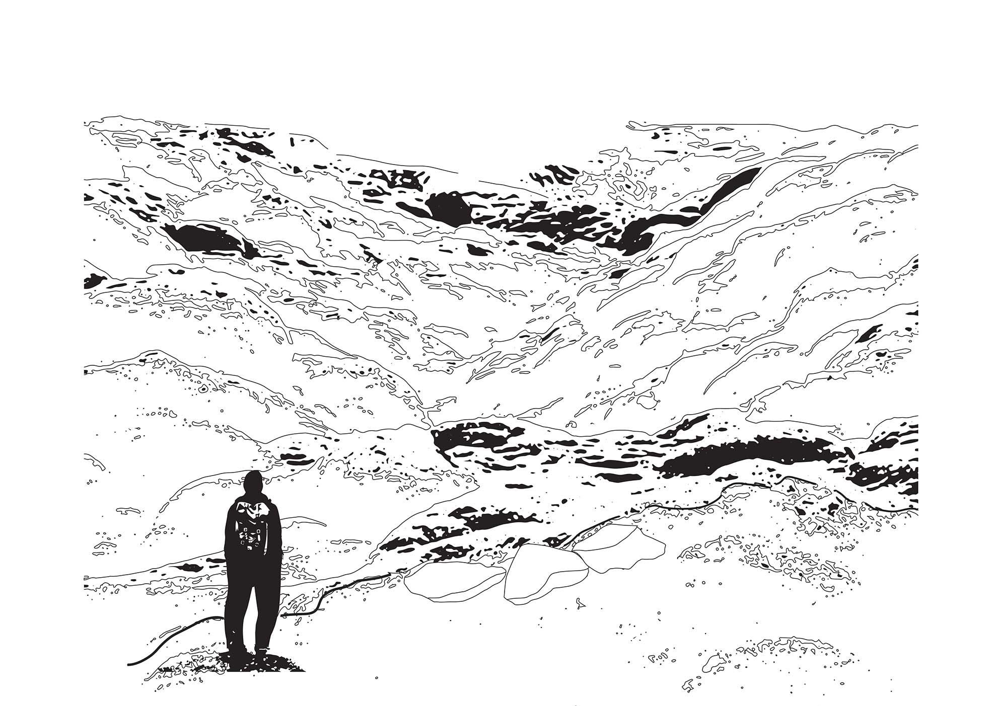 Primary stage of field