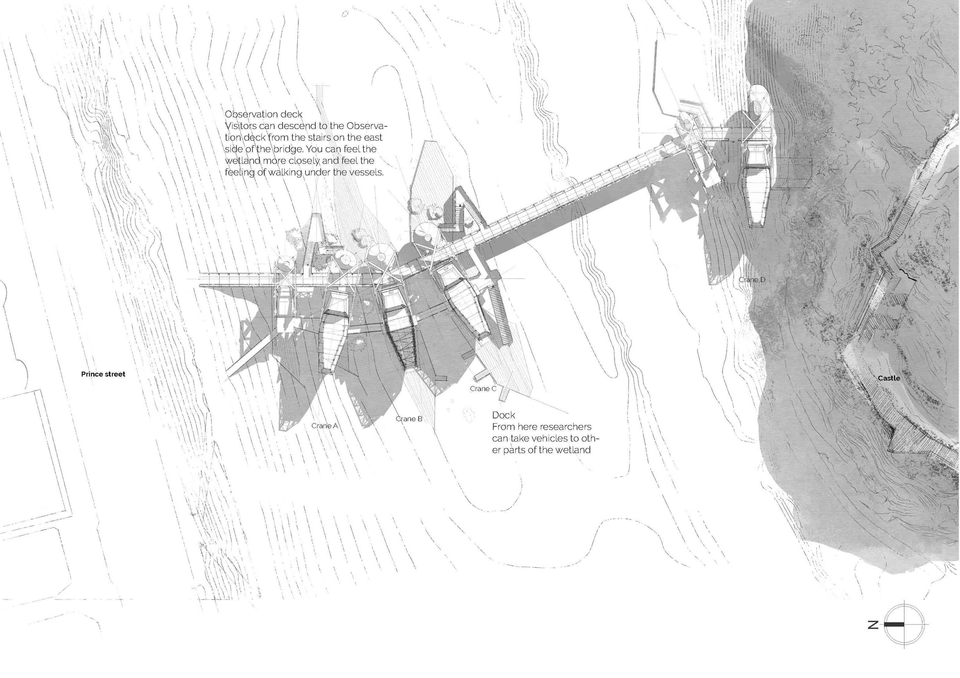 Roof Plan