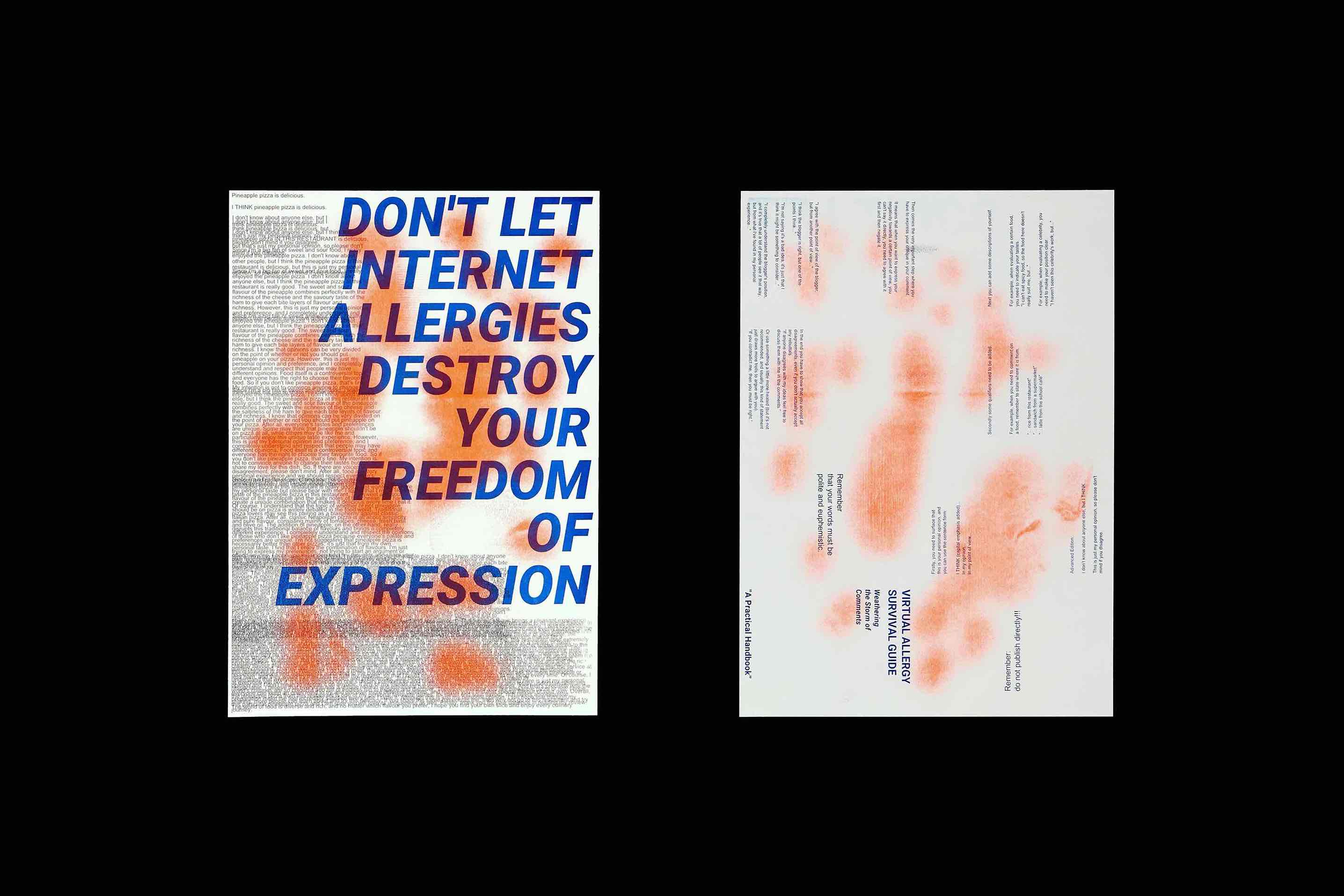 flat view of the poster and zine