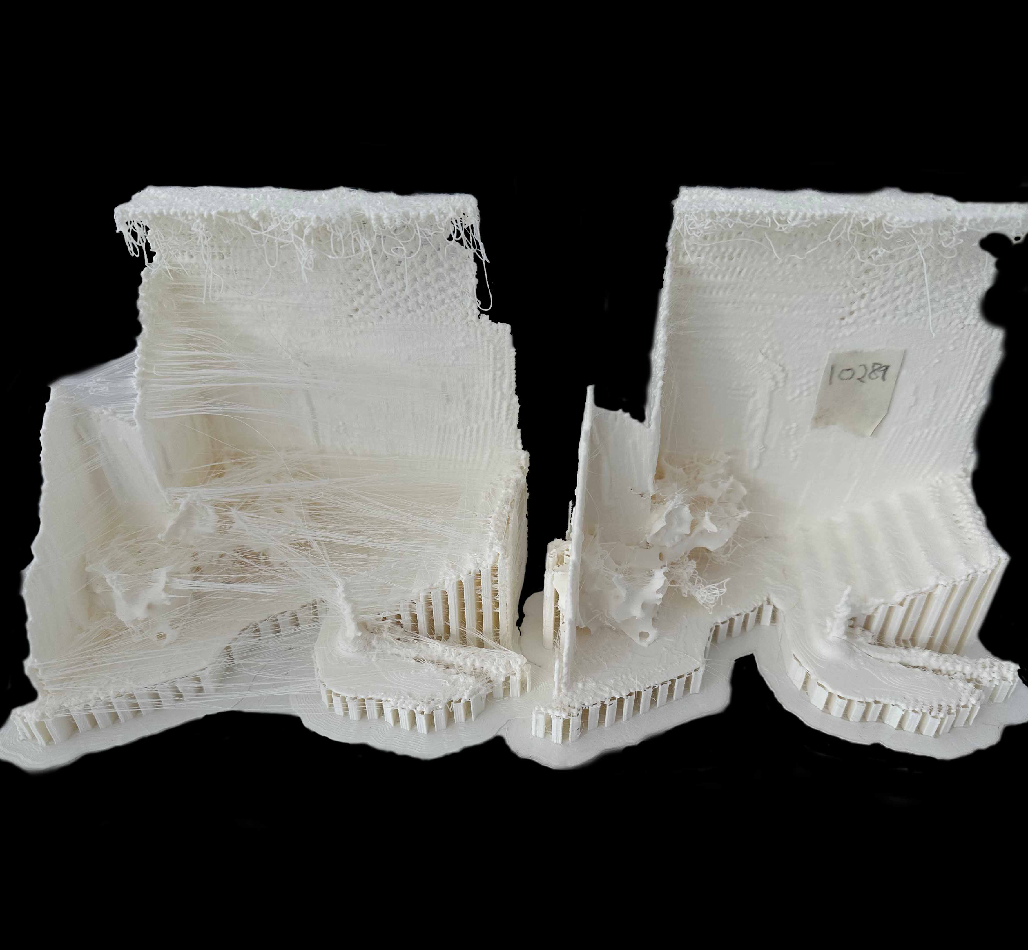 3D Printed Object_1