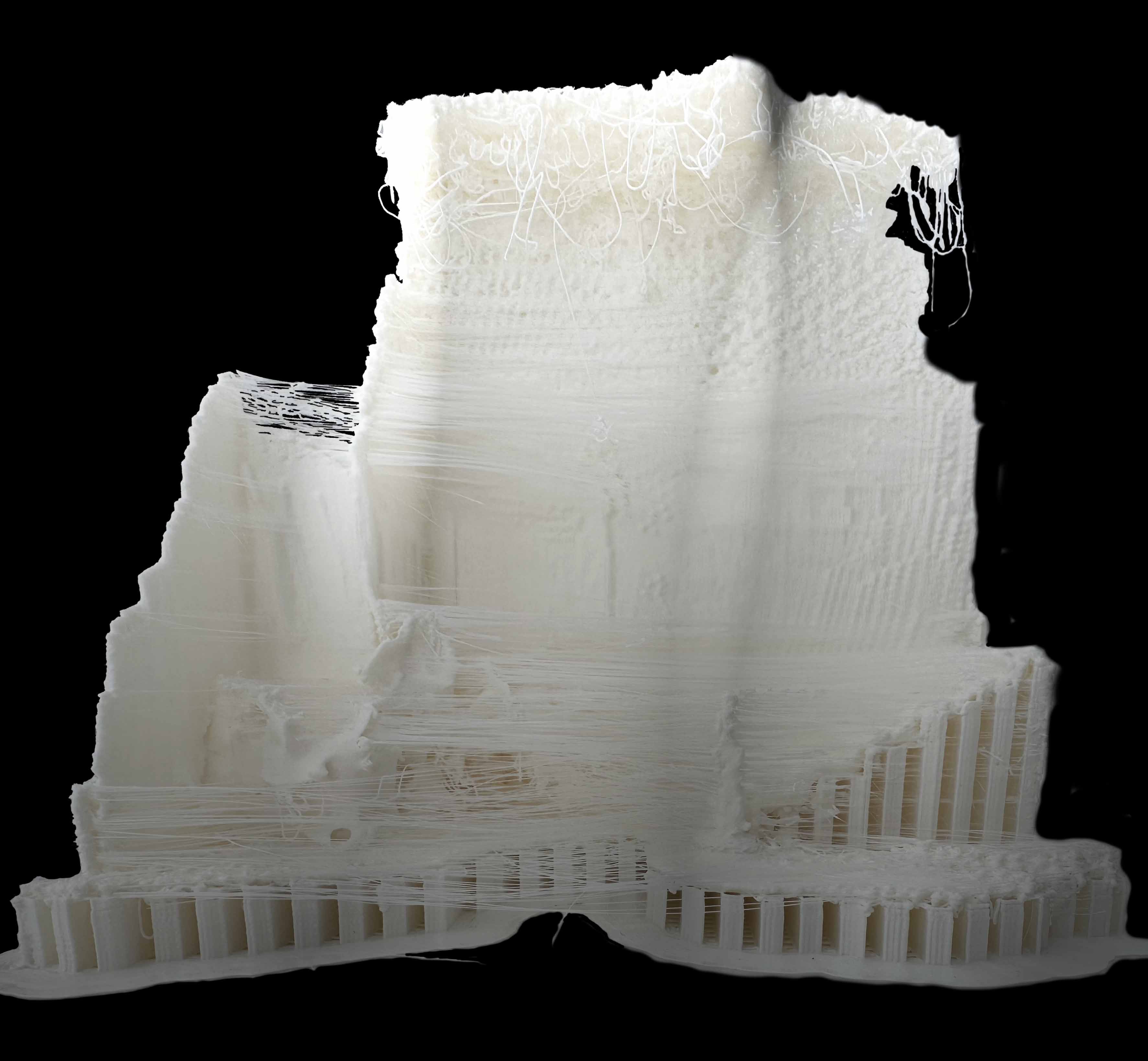 3D Printed Object_2