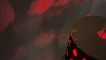 Experimenting of butterfly flight