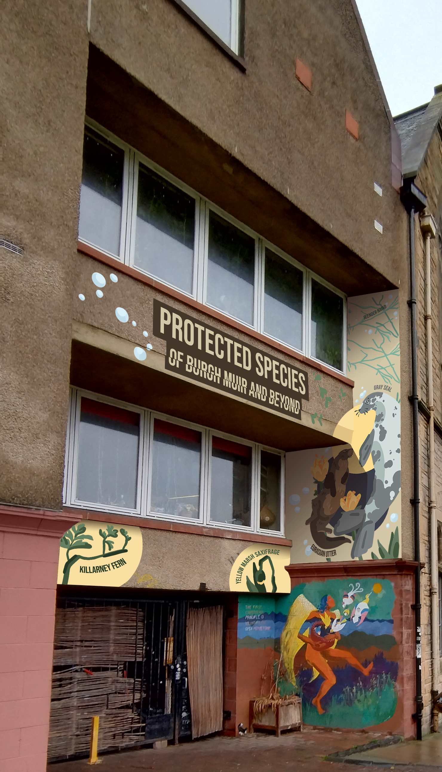 Digital visualization of a mural pasted onto a wall. The image shows the right-hand side of the mural depicting an otter and a seal. The middle part of the mural is visible at an angle. Text in the top half of it says: "Protected species of Burgh Muir and beyond". The bottom half depicts a killarney fern an a yellow marsh saxifrage.