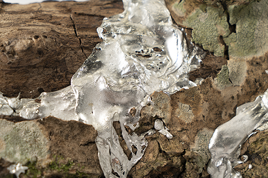 Flowing Together(1)