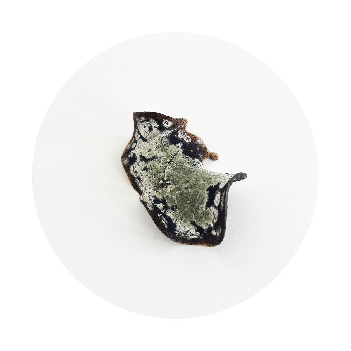 studio Material (sM 02) starch and coffee composite with mold 