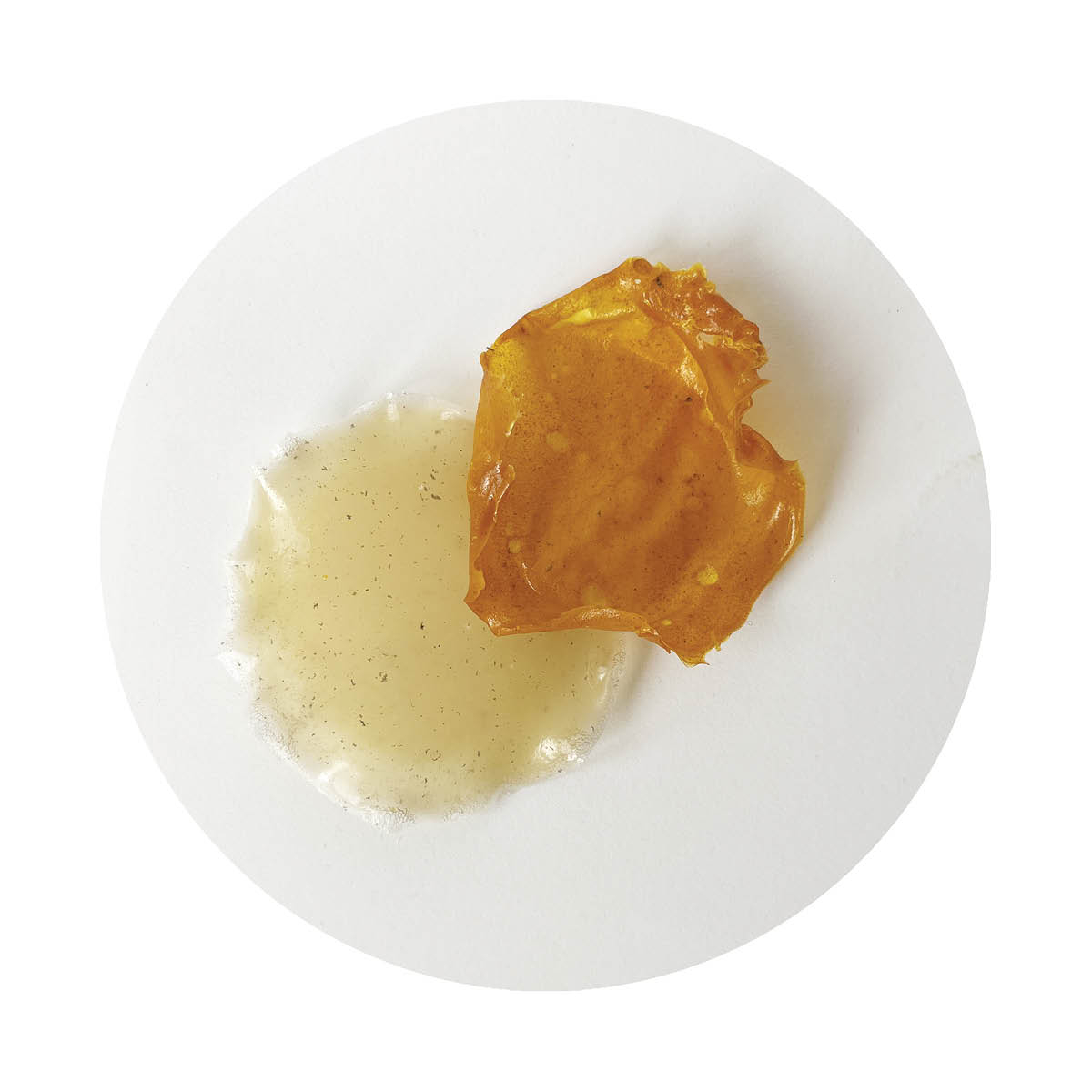 studio Material (sM 03) gelatin plastic + rice paper composite 