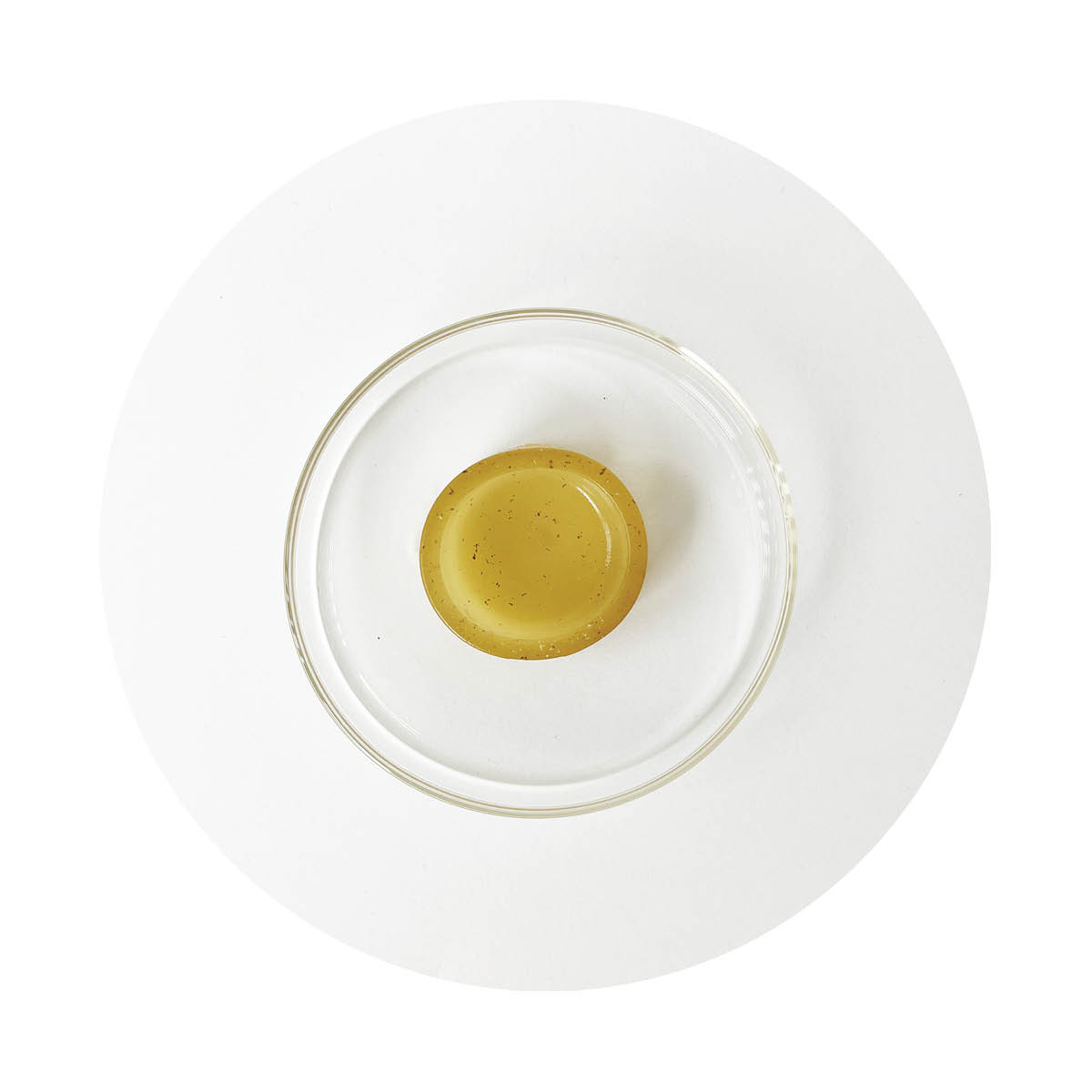 studio Material (sM 05) starch plastic 