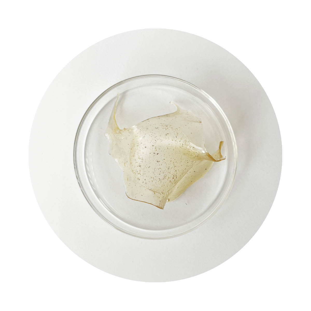 studio Material (sM 06) gelatin plastic form sample 