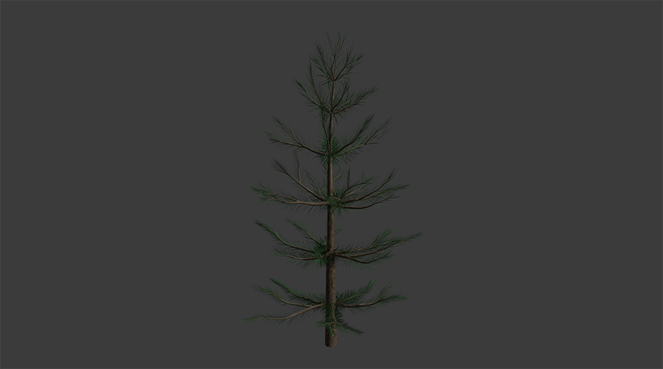 Pine Tree