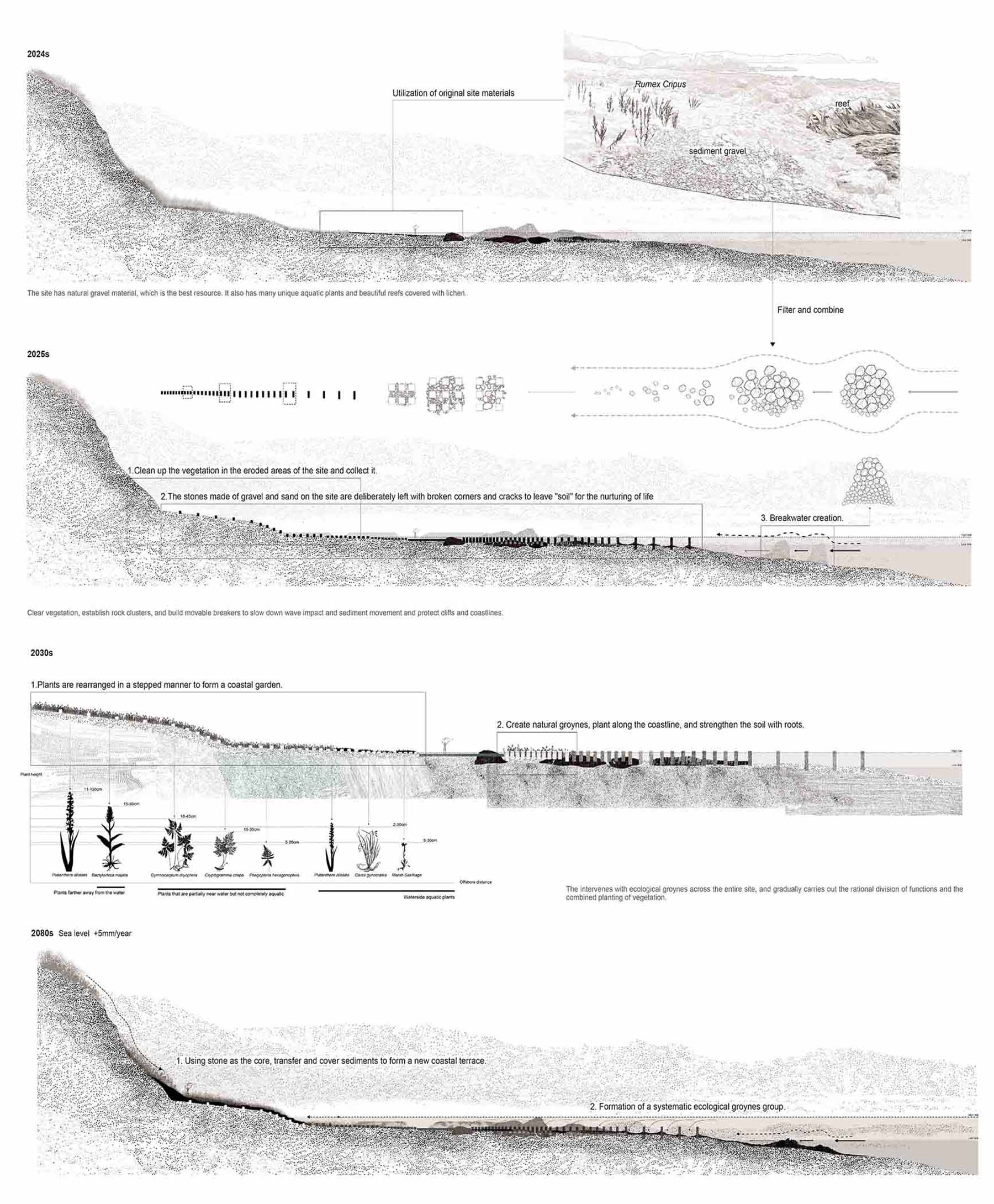 section