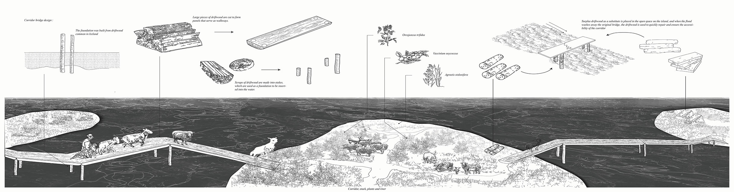 Long section