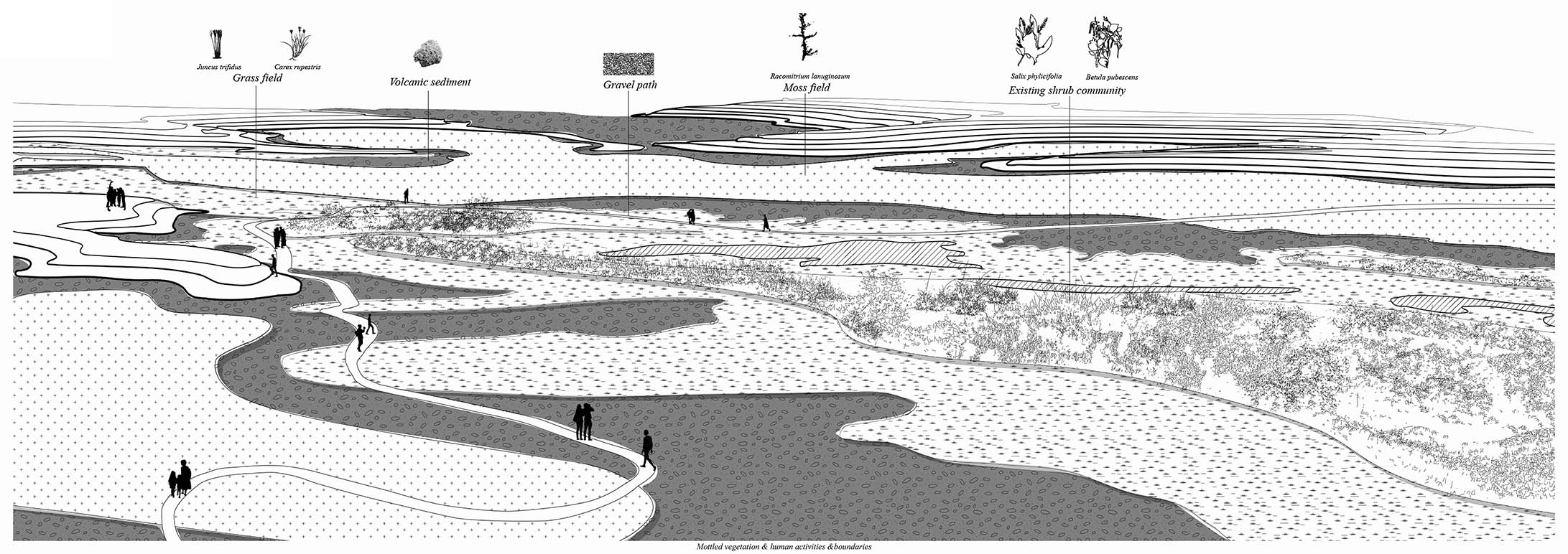Long section