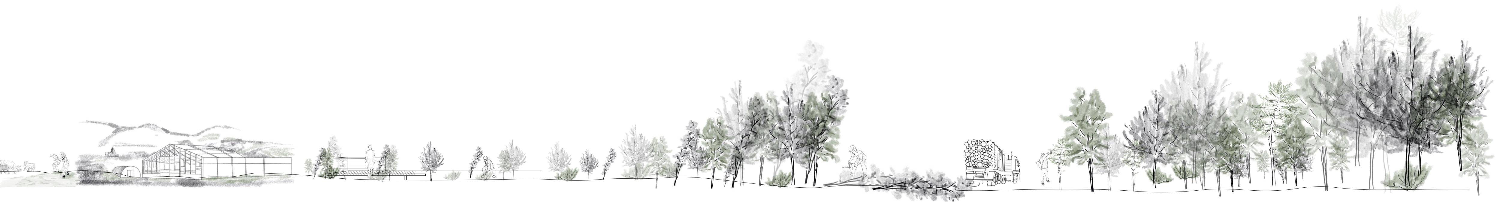  Management of Experimental base for planted forests
