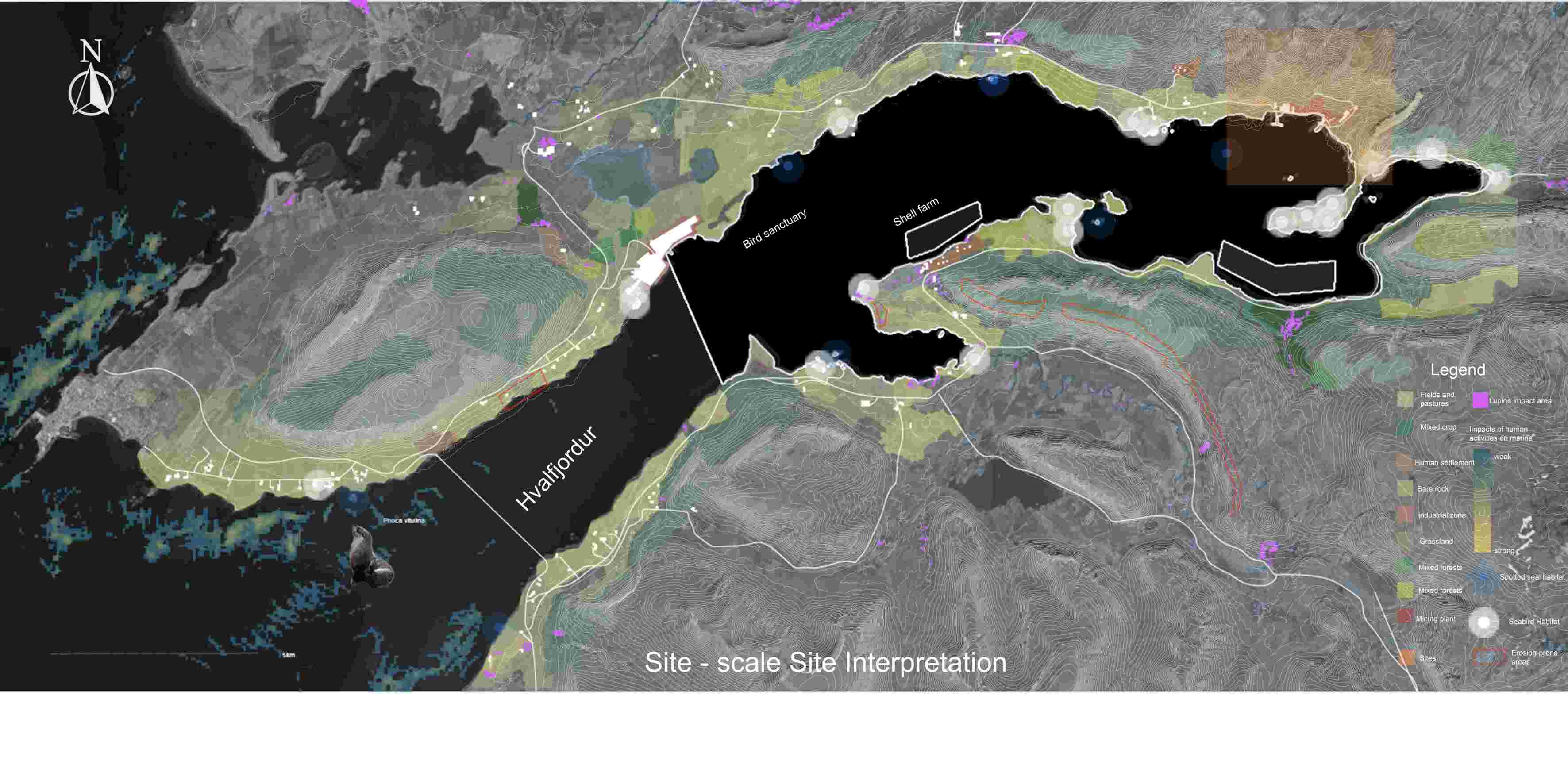 Site interpretation