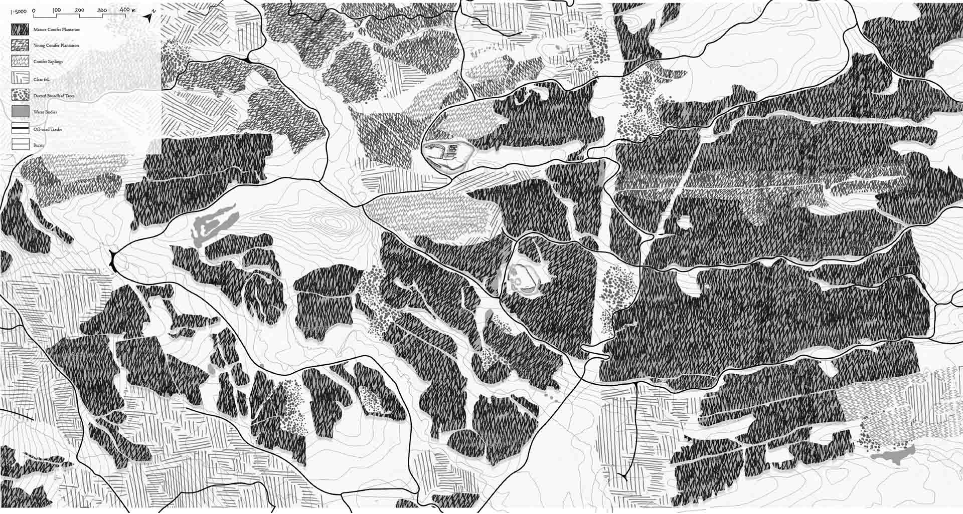Plan showing different textures of conifer plantation caused by exploitation 